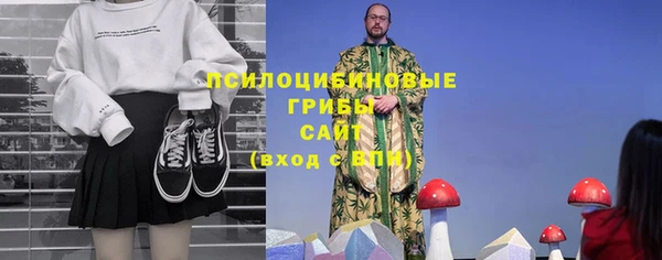 твердый Алзамай