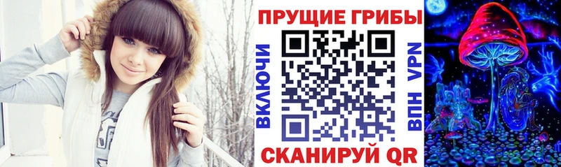 Галлюциногенные грибы MAGIC MUSHROOMS  даркнет сайт  Заводоуковск 
