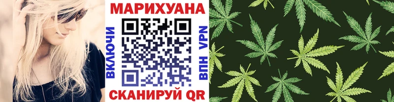 наркотики  Заводоуковск  Каннабис тримм 